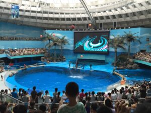 QQ图片20150806154058